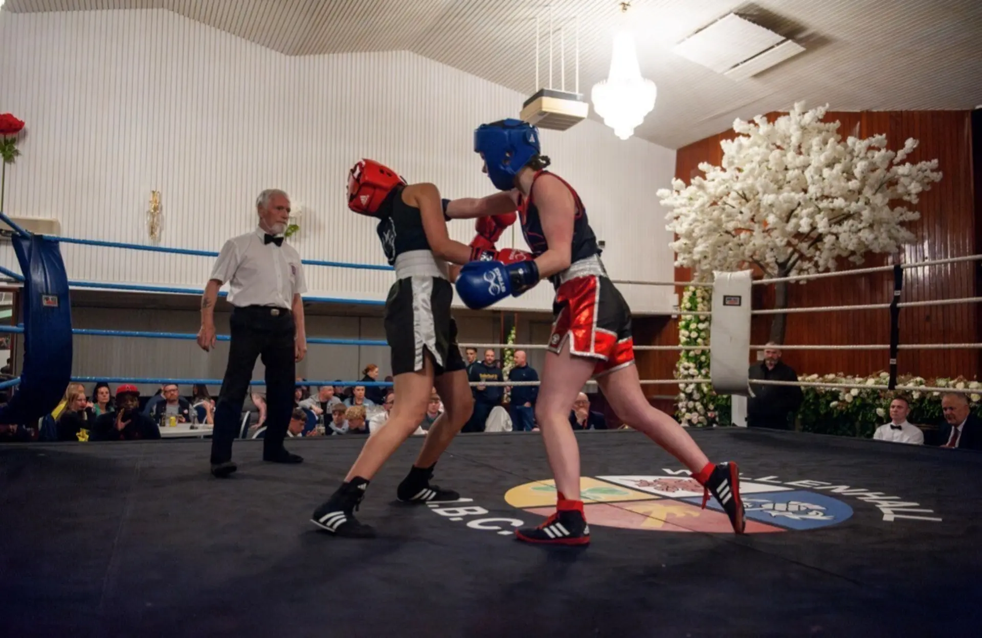 LAILA JOHNSON FIGHT