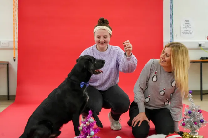 DOG PHOTOSHOOT WEB 3