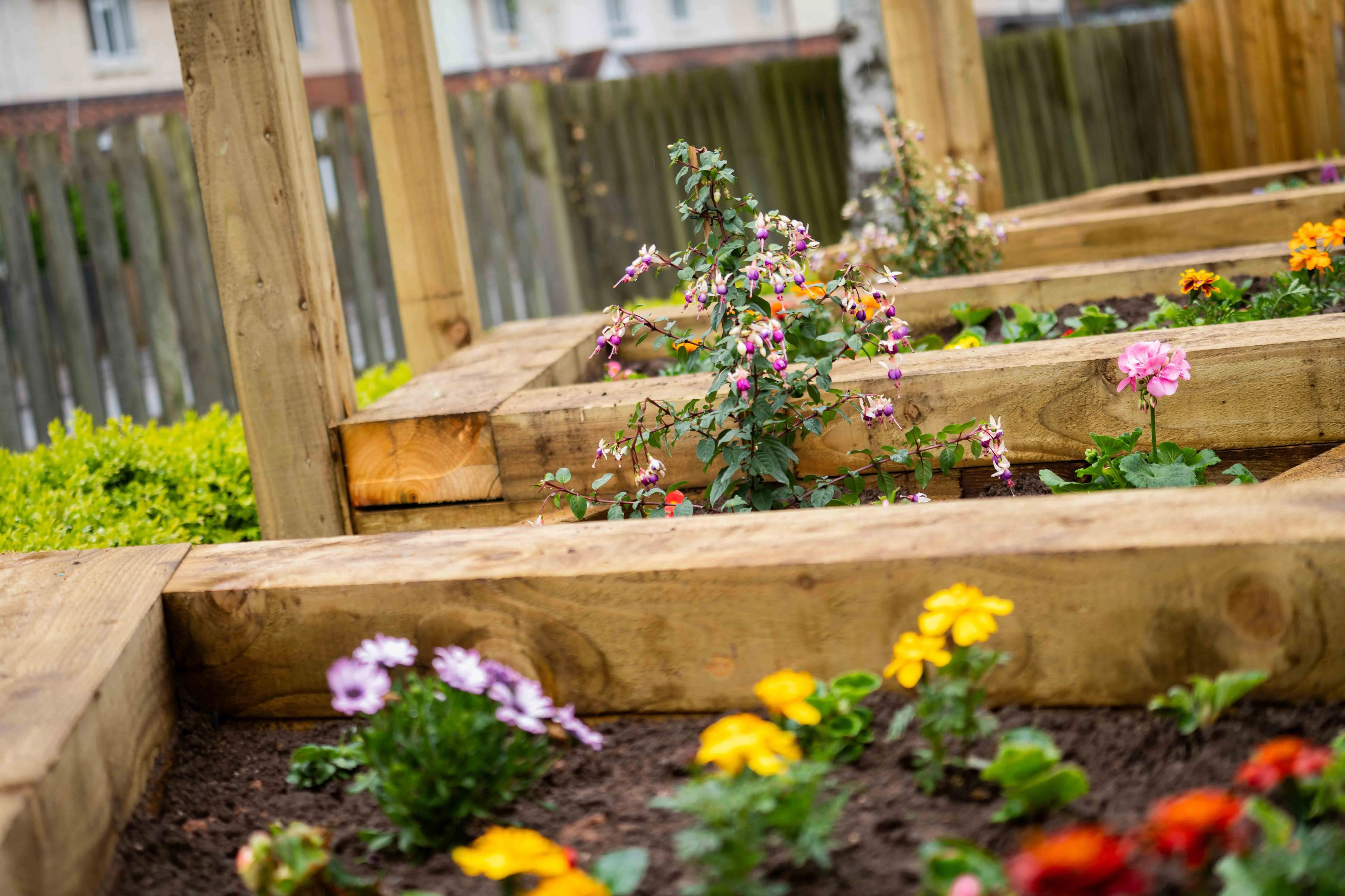 BELONG SENSORY GARDEN web 21