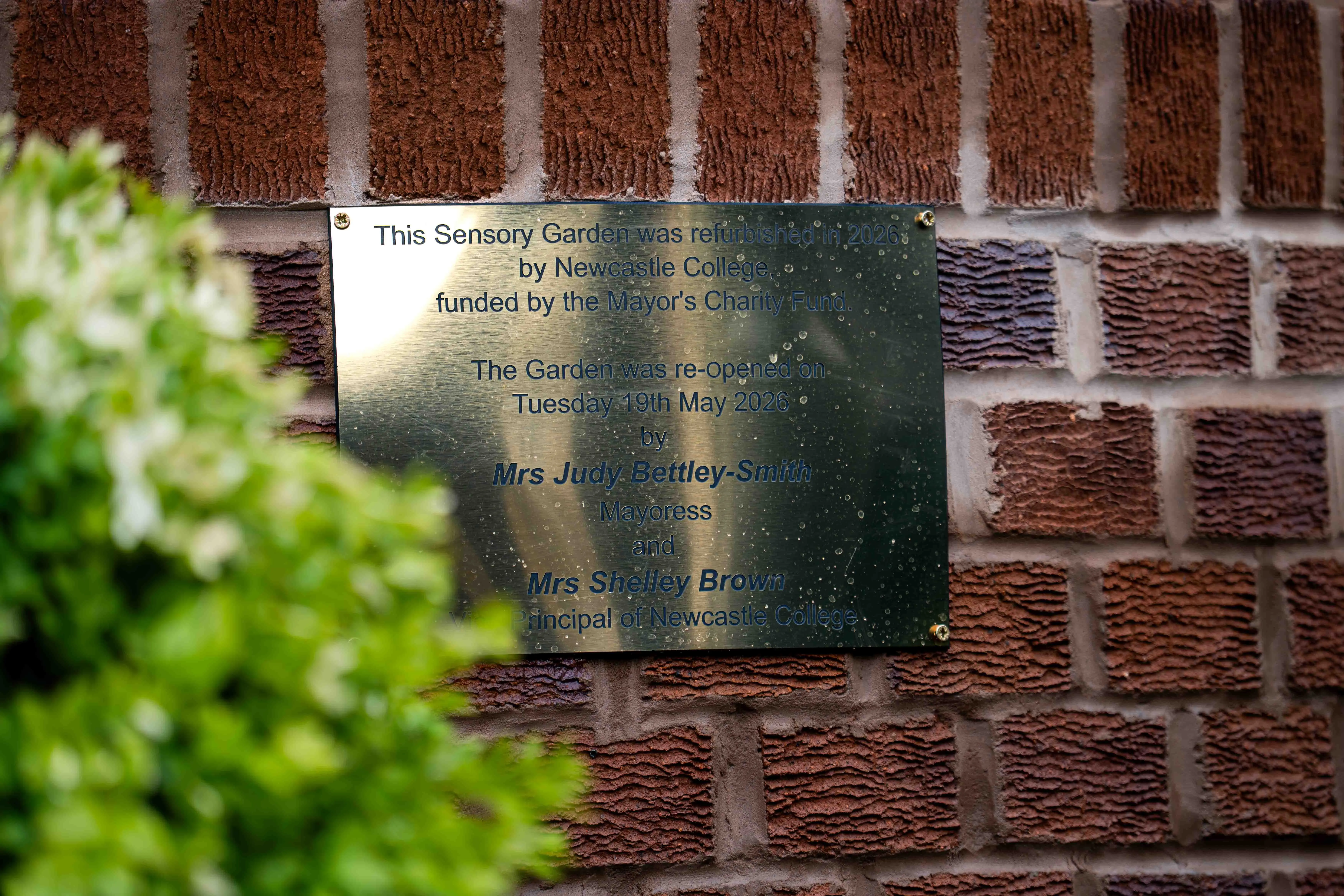 BELONG SENSORY GARDEN web 32
