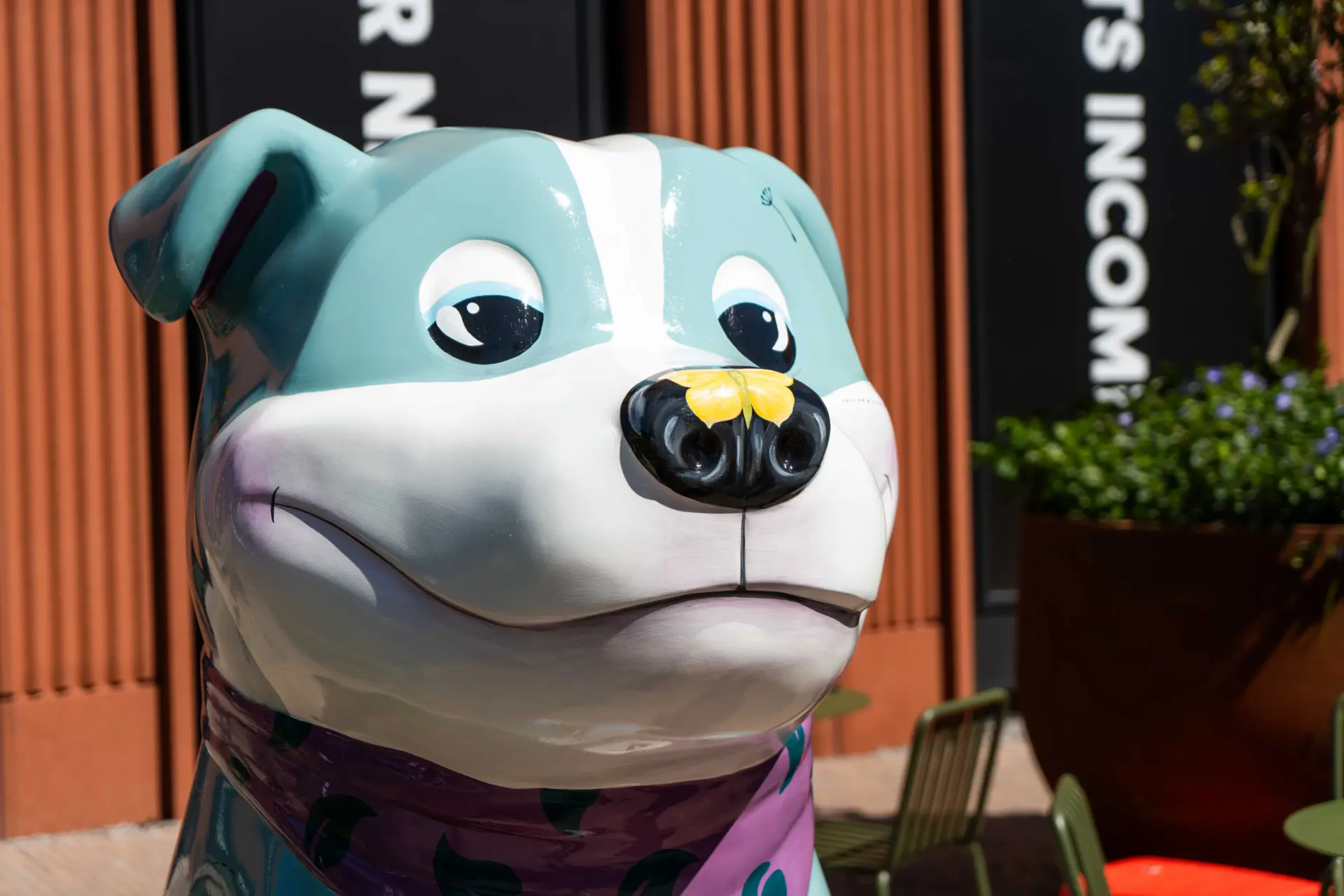 STAFFY TRAIL OPENING WEB 43