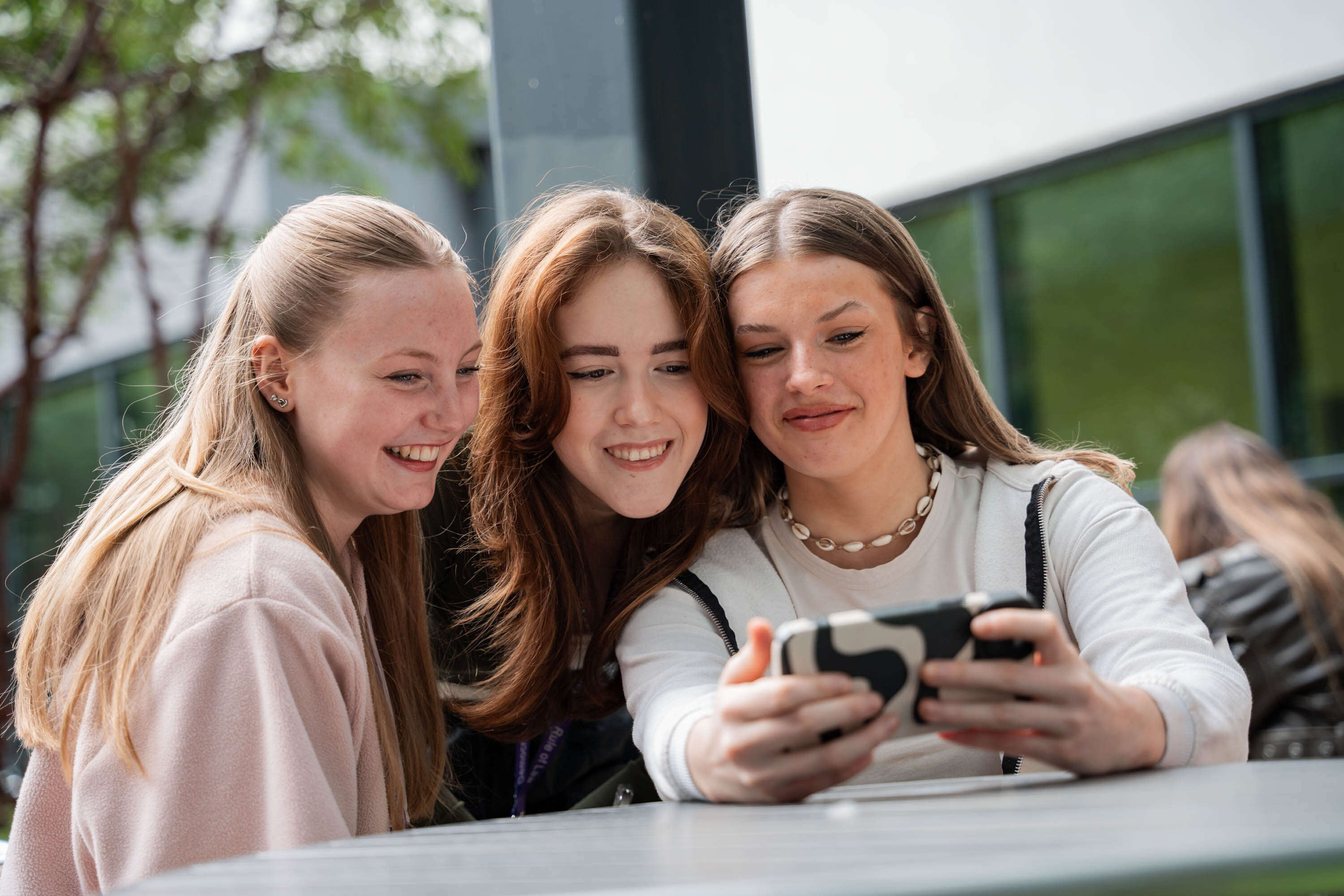 PROSPECTUS 24 WEB 18