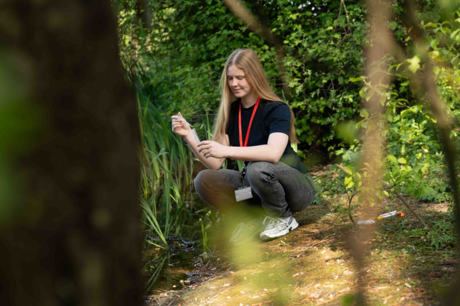 PROSPECTUS 25 web 130